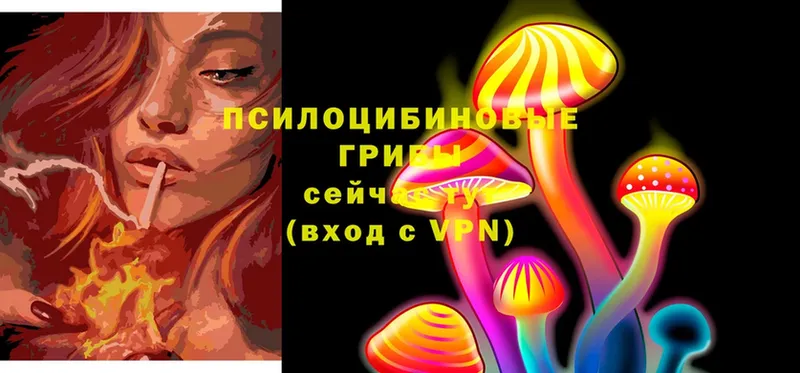 Псилоцибиновые грибы Magic Shrooms  Ликино-Дулёво 